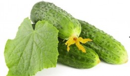 今日吃瓜热门大瓜每日更新51 黄瓜c,51号黄瓜C，揭秘娱乐圈最新猛料